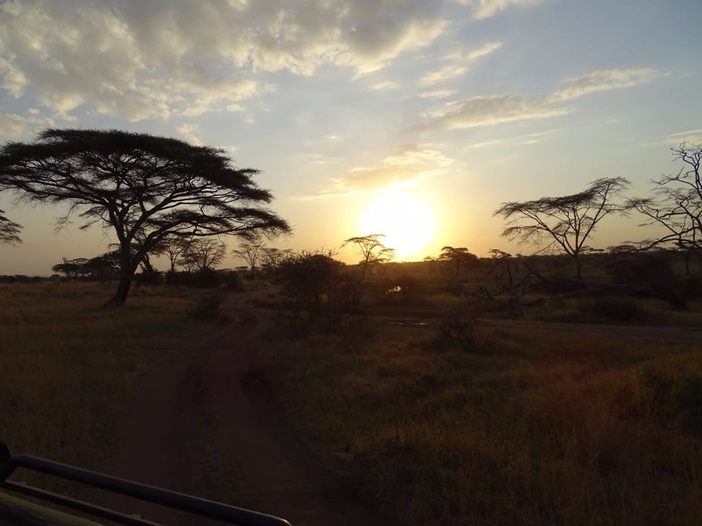 Serengeti sunset Tanzania safar