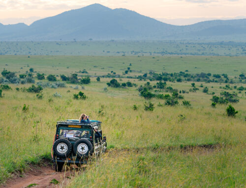Tanzania: Have to See it to Believe it